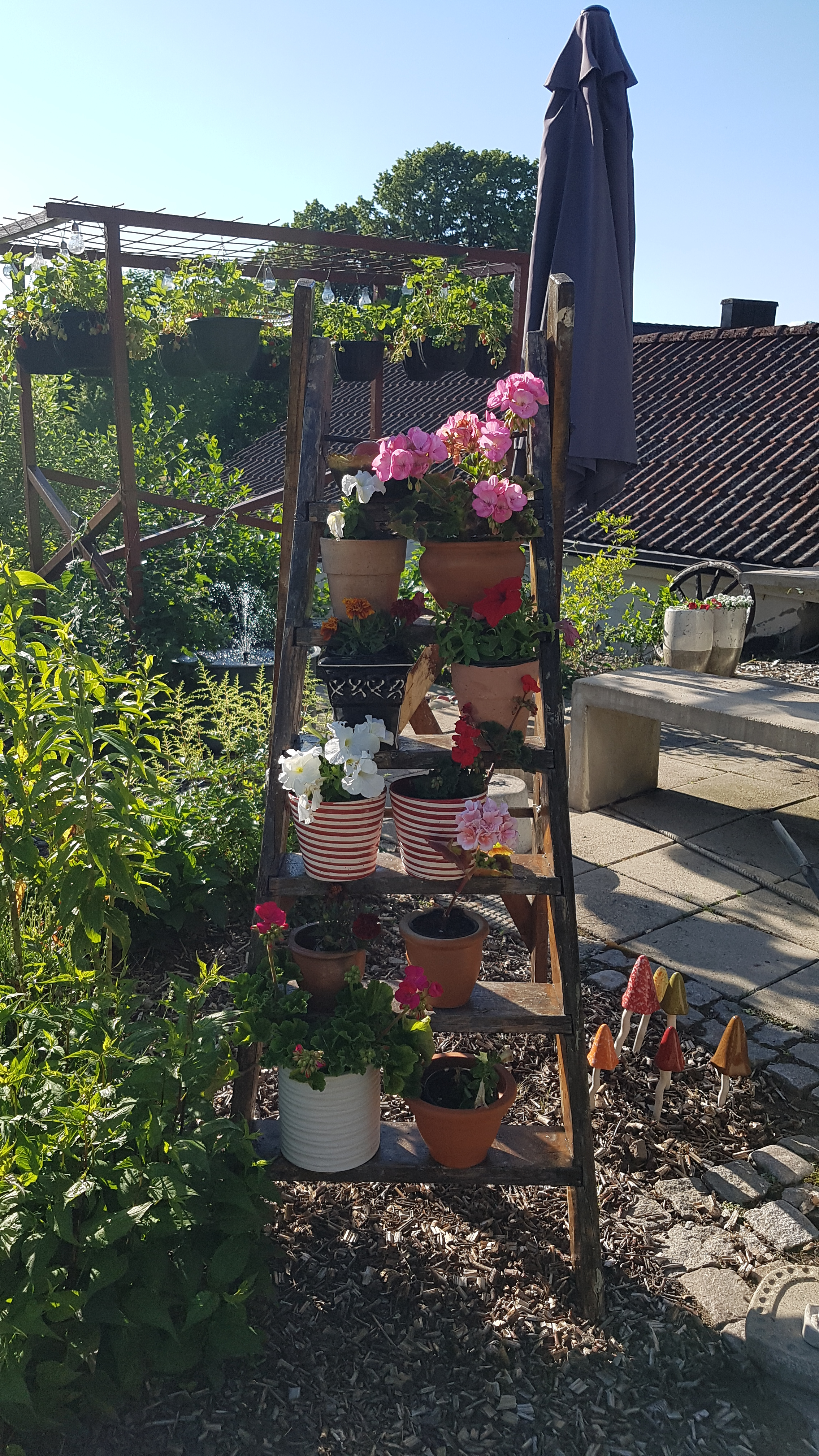 Blommor på stege.