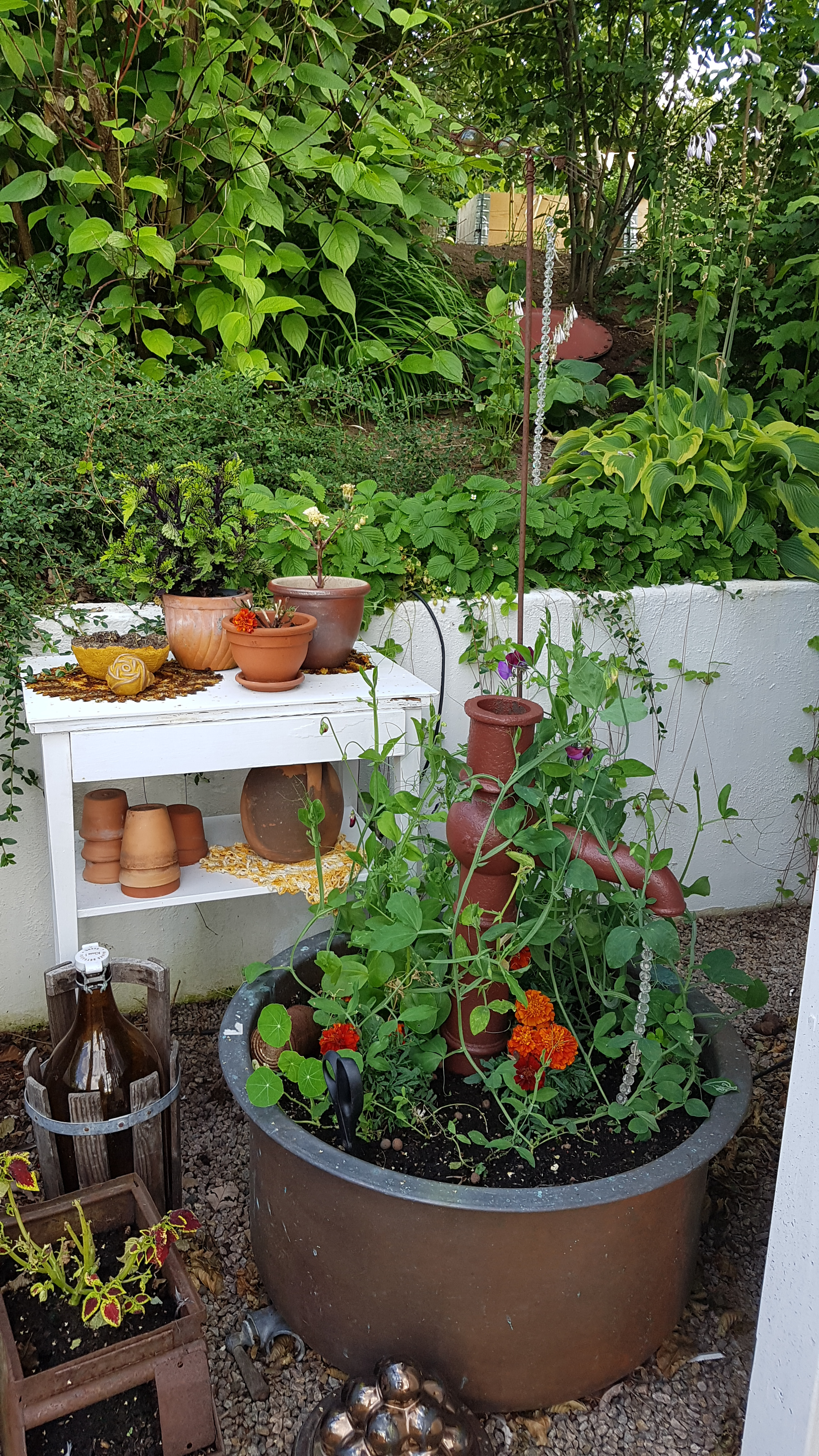 Plantering i kopparbalja.